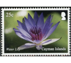 Water Lily - Caribbean / Cayman Islands 2020 - 25