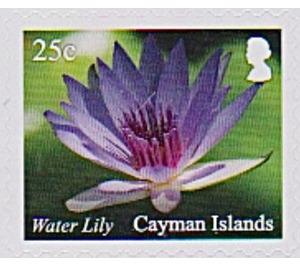 Water Lily - Caribbean / Cayman Islands 2020 - 25