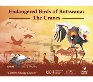 Wattled Crane - South Africa / Botswana 2019