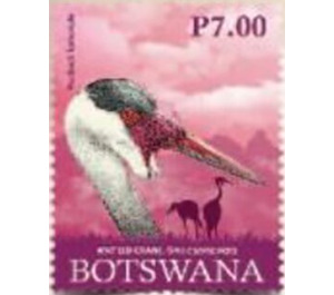 Wattled Crane - South Africa / Botswana 2019 - 7