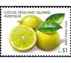 West Indian lime - Cocos (Keeling) Islands 2017 - 1