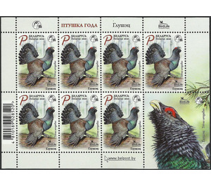 Western Capercaillie (Tetrao urogallus) - Belarus 2020