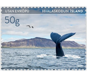 Whale - Iceland 2020