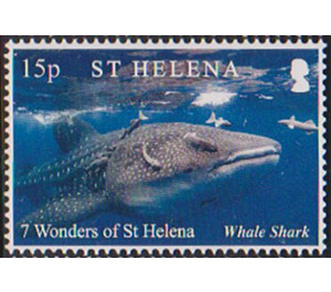 Whale Shark - West Africa / Saint Helena 2020 - 15