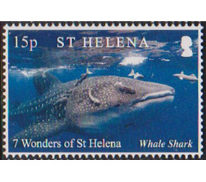 Whale Shark - West Africa / Saint Helena 2020 - 15