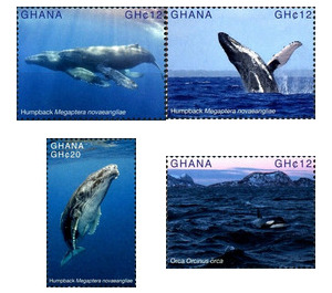 Whales (2017) - West Africa / Ghana 2017 Set