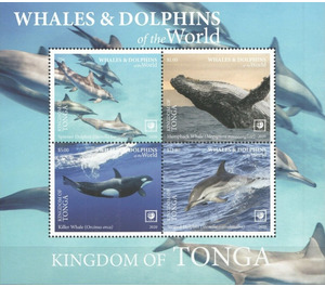 Whales & Dolphins of the World - Polynesia / Tonga 2020