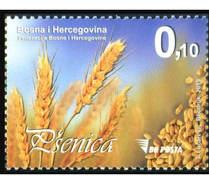 Wheat - Bosnia and Herzegovina 2019 - 0.10