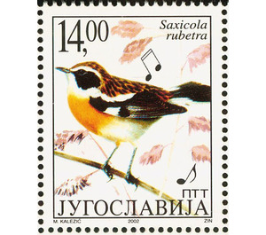 Whinchat (Saxicola rubetra) - Yugoslavia 2002 - 14
