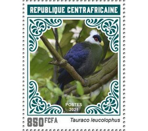 White-crested Turaco (Tauraco leucolophus) - Central Africa / Central African Republic 2021 - 850