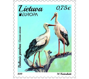 White Stork (Ciconia ciconia) - Lithuania 2019 - 0.75