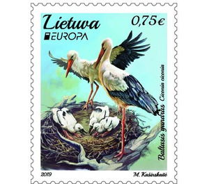 White Stork (Ciconia ciconia) - Lithuania 2019 - 0.75