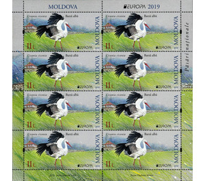 White Stork (Ciconia ciconia) - Moldova 2019