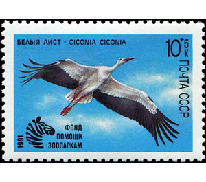 White Stork (Ciconia ciconia) - Russia / Soviet Union 1991