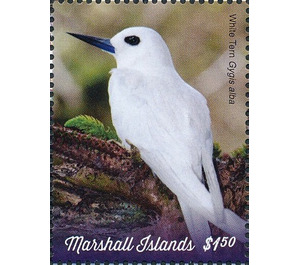 White Tern (Gygis alba) - Micronesia / Marshall Islands 2019 - 1.50