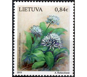 Wild Garlic (Allium ursinum) - Lithuania 2019 - 0.84