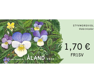 Wild pansy (Viola tricolor) - Åland Islands 2020