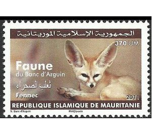 Wildlife of Arguin National Park : Fennec - West Africa / Mauritania 2011 - 370