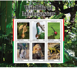 Wildlife of Madagascar - Caribbean / Grenada 2020