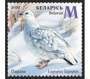 Willow Ptarmigan (Lagopus lagopus) in Winter - Belarus 2020