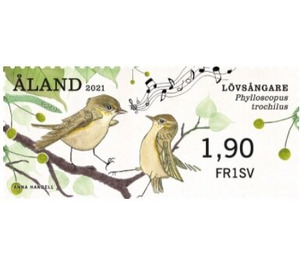 Willow Warbler (Phylloscopus trochilus) - Åland Islands 2021