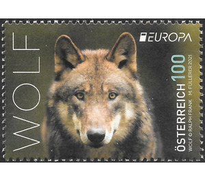 Wolf - Austria 2021 - 100