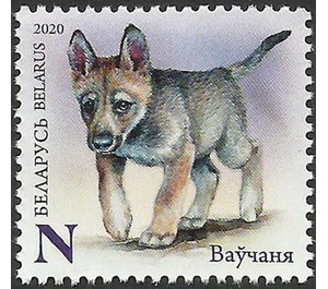 Wolf Cub - Belarus 2020