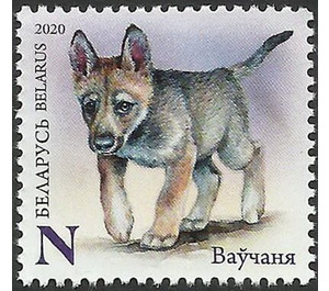 Wolf Cub - Belarus 2020