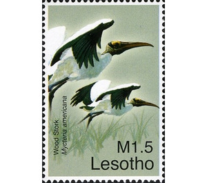 Wood Stork (Mycteria americana) - South Africa / Lesotho 2007 - 1.50