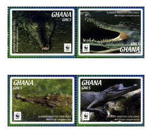 WWF - West Africa / Ghana 2016 Set