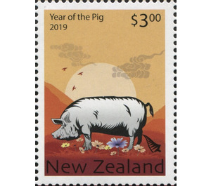 Year of The Pig 2019 - New Zealand 2019 - 3