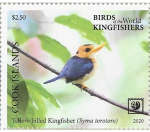 Yellow-Billed Kingfisher (Syma torotoro) - Polynesia / Cook Islands 2020 - 2.50