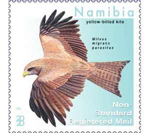 Yellow-Billed Kite (Milvus aegyptius) - South Africa / Namibia 2020