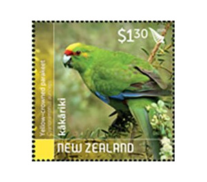 Yellow-Crowned Parakeet (Cyanoramphus auriceps) - New Zealand 2020 - 1.30