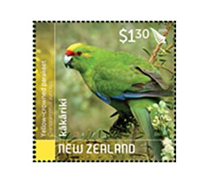 Yellow-Crowned Parakeet (Cyanoramphus auriceps) - New Zealand 2020 - 1.30