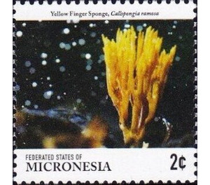 Yellow finger sponge - Micronesia / Micronesia, Federated States 2015 - 2