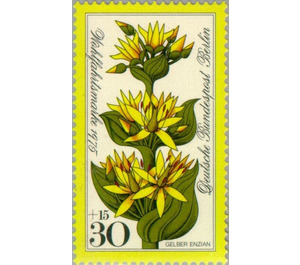 Yellow gentian - Germany / Berlin 1975