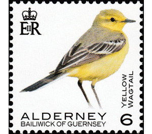 Yellow Wagtail - Alderney 2020 - 6