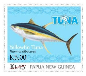 Yellowfin Tuna (Thunnus albacares) - Melanesia / Papua and New Guinea / Papua New Guinea 2020 - 5