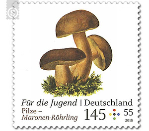 Youth: mushrooms  - Germany / Federal Republic of Germany 2018 - 145 Euro Cent
