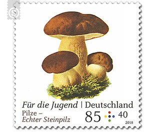 Youth: mushrooms  - Germany / Federal Republic of Germany 2018 - 85 Euro Cent