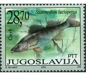 Zander (Stizostedion lucioperca) - Yugoslavia 2002 - 28.70