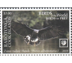 Zone-Tailed Hawk - Cook Islands, Rarotonga 2019 - 3