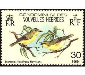 Zosterops flavifrons flavifrons - Melanesia / New Hebrides 1980 - 30