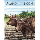 2 Oxen - Åland Islands 2020 - 1