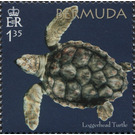 50th Anniversary of the Bermuda Turtle Project - North America / Bermuda 2018 - 1.35