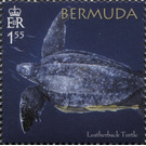 50th Anniversary of the Bermuda Turtle Project - North America / Bermuda 2018 - 1.55
