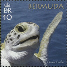 50th Anniversary of the Bermuda Turtle Project - North America / Bermuda 2018 - 10