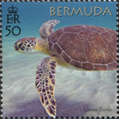 50th Anniversary of the Bermuda Turtle Project - North America / Bermuda 2018 - 50