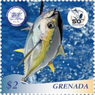 50th Spice Island Bullfish Tournament - Caribbean / Grenada 2019 - 2